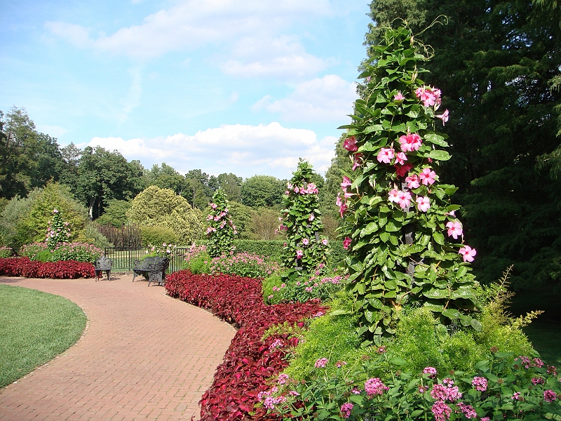 144 Longwood Gardens [2008 August 23].JPG - Longwood Gardens in Pennsylvania